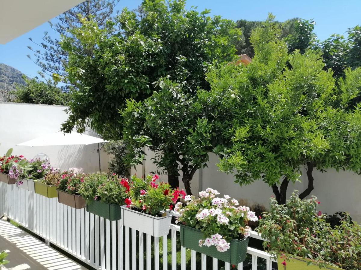 Mondello Beach The House With Green Lawns Vila Exterior foto